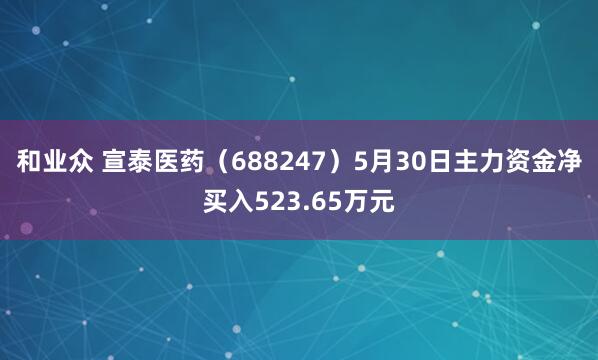 和业众 宣泰医药（688247）5月30日主力资金净买入523.65万元