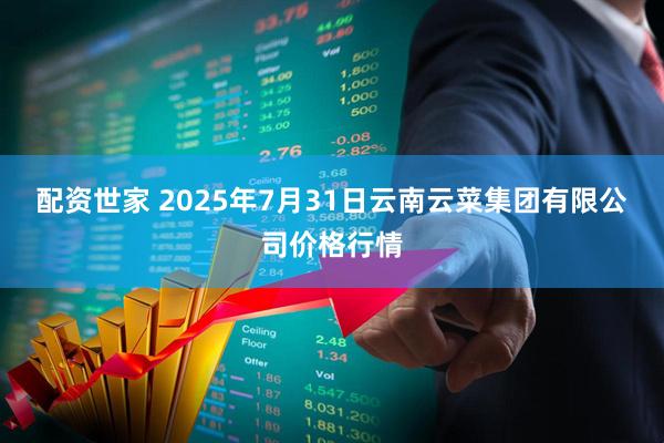 配资世家 2025年7月31日云南云菜集团有限公司价格行情